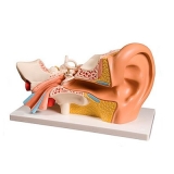 exames-auditivos-exame-auditivo-central-exame-auditivo-central-com-consulta-alphaville-residencial-plus